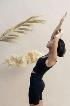 Indigo Luna Ananda Top Black *