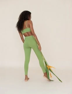 Indigo Luna New In Ananda Legging Soft Apple