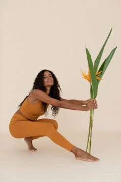 Indigo Luna New In Ananda Legging Amber