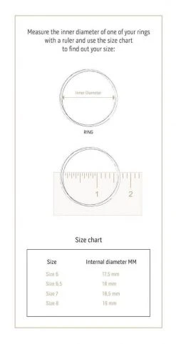 Wild Ivy Enso Stack Ring Silver